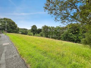 Front Views- click for photo gallery